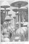 I WAS IN A FOREST OF COLOSSAL FUNGI.