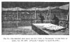 FIG. 72.SEA-SERPENT SEEN FROM THE S.S. CITY OF BALTIMORE, IN THE GULF OF ADEN, JAN. 28, 1879. (<i>From the</i> <i>Graphic</i> <i>of April</i> 19, 1879.)