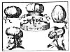 THE HEADDRESS OF THE PRIESTS.