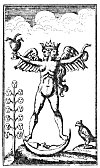 THE ALCHEMICAL ANDROGYNE