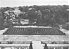 Fig. 86. Maze at Hatfield House, Herts.<br> (<i>see page 115</i>)