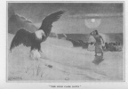 THE BIRD CAME DOWN