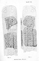 PLATE III.<br> FIG. 1.&nbsp;&nbsp;&nbsp;&nbsp;&nbsp;&nbsp;&nbsp;&nbsp;&nbsp;&nbsp;&nbsp;&nbsp;&nbsp;&nbsp;&nbsp;&nbsp;&nbsp;&nbsp;&nbsp;&nbsp;&nbsp;&nbsp;&nbsp;&nbsp;&nbsp;&nbsp;&nbsp;&nbsp;&nbsp;&nbsp;&nbsp;&nbsp;&nbsp;&nbsp;&nbsp;&nbsp;&nbsp;&nbsp;&nbsp;&nbsp; FIG. 2.<br> RUMUND CROSS, MICHAEL.