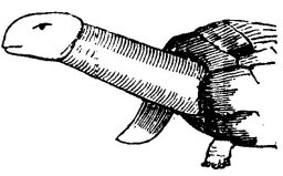 Fig. 11.